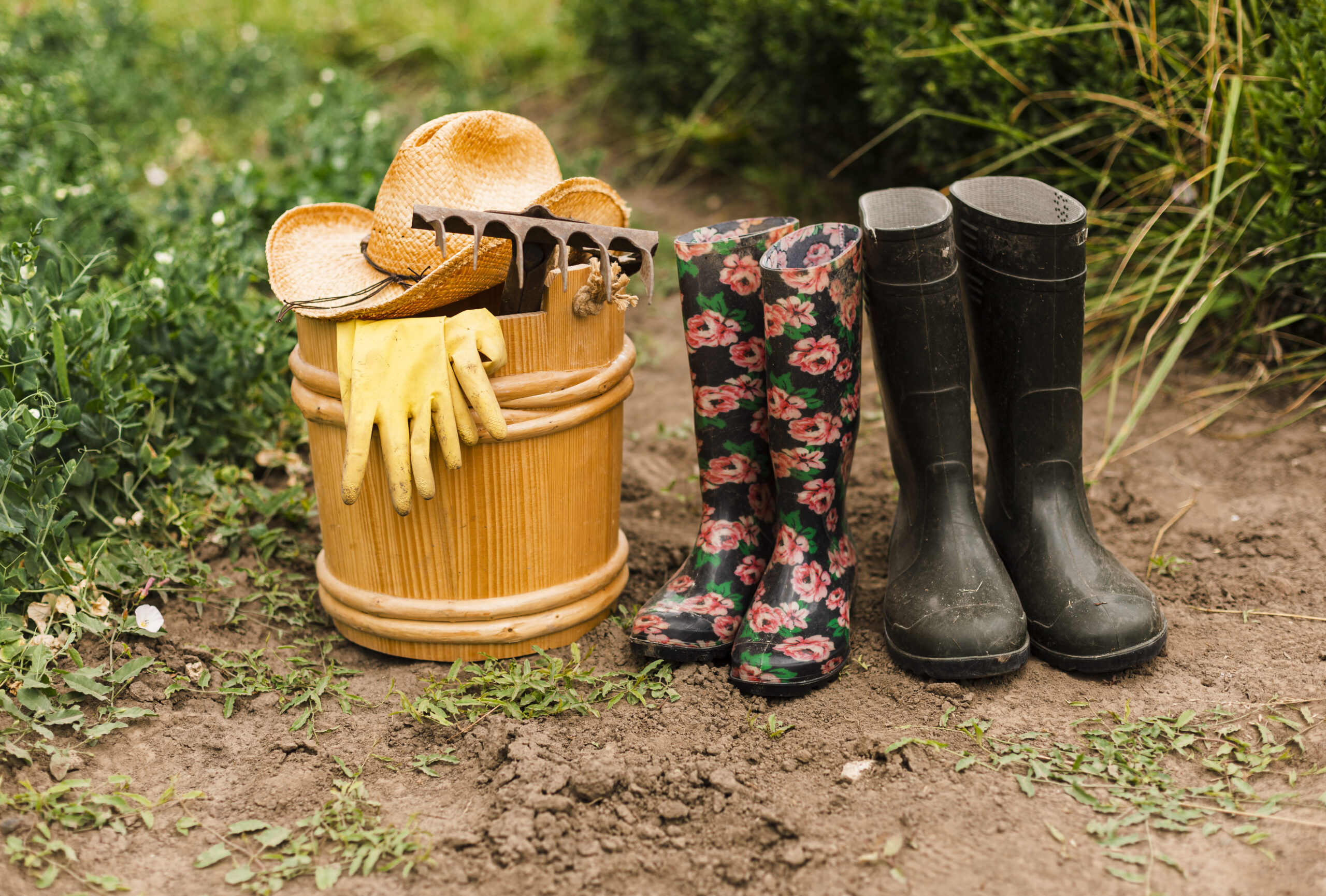 close-up-gardening-accesories
