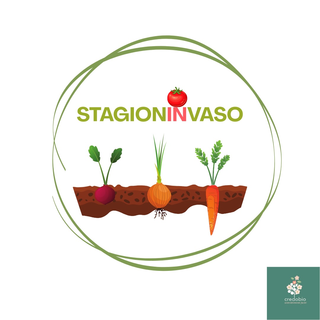 STAGIONINVASO